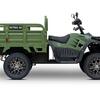 Грузовой электроквадроцикл Rutrike Рейнджер